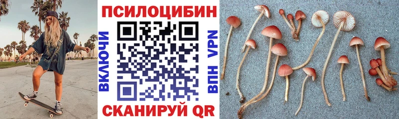 купить наркотик  Краснокамск  Галлюциногенные грибы Psilocybe 